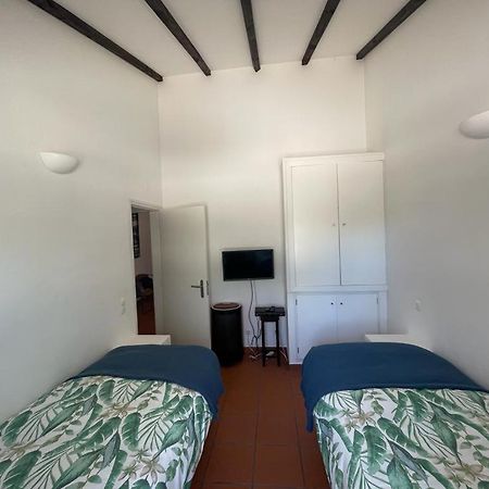 Casa Das Oliveiras Avis Dış mekan fotoğraf
