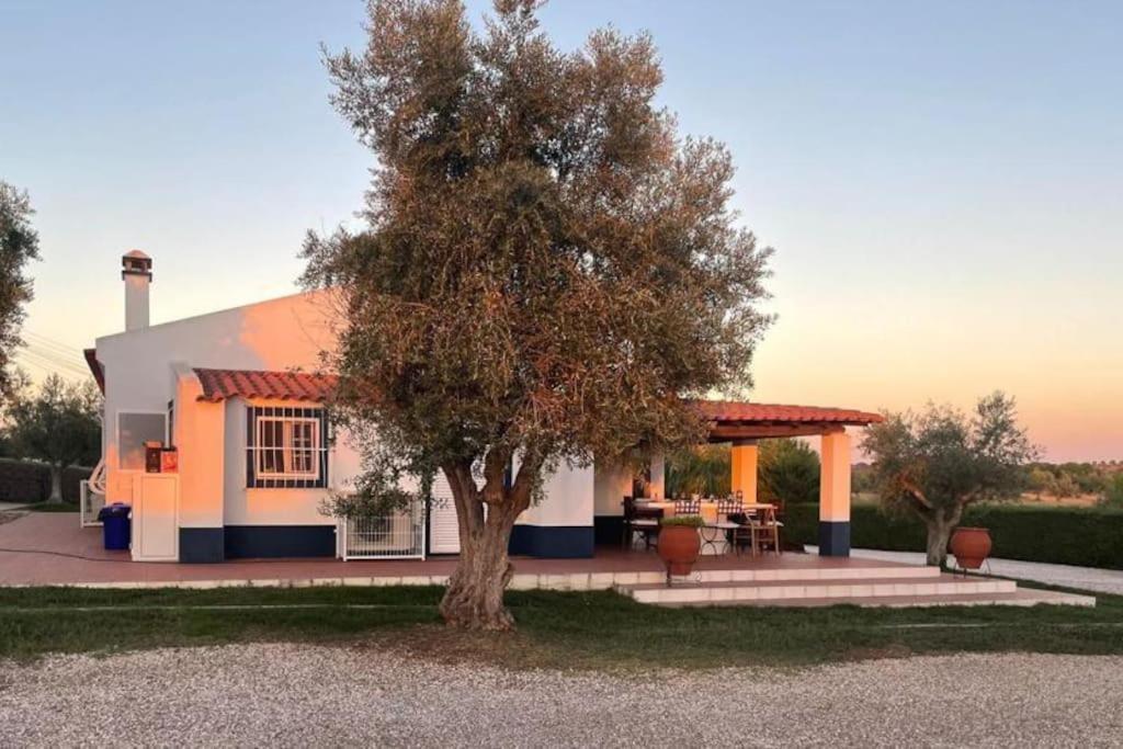 Casa Das Oliveiras Avis Dış mekan fotoğraf