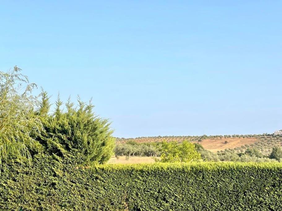 Casa Das Oliveiras Avis Dış mekan fotoğraf