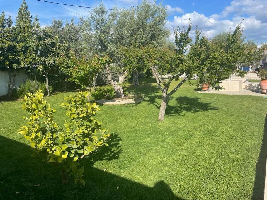 Casa Das Oliveiras Avis Dış mekan fotoğraf