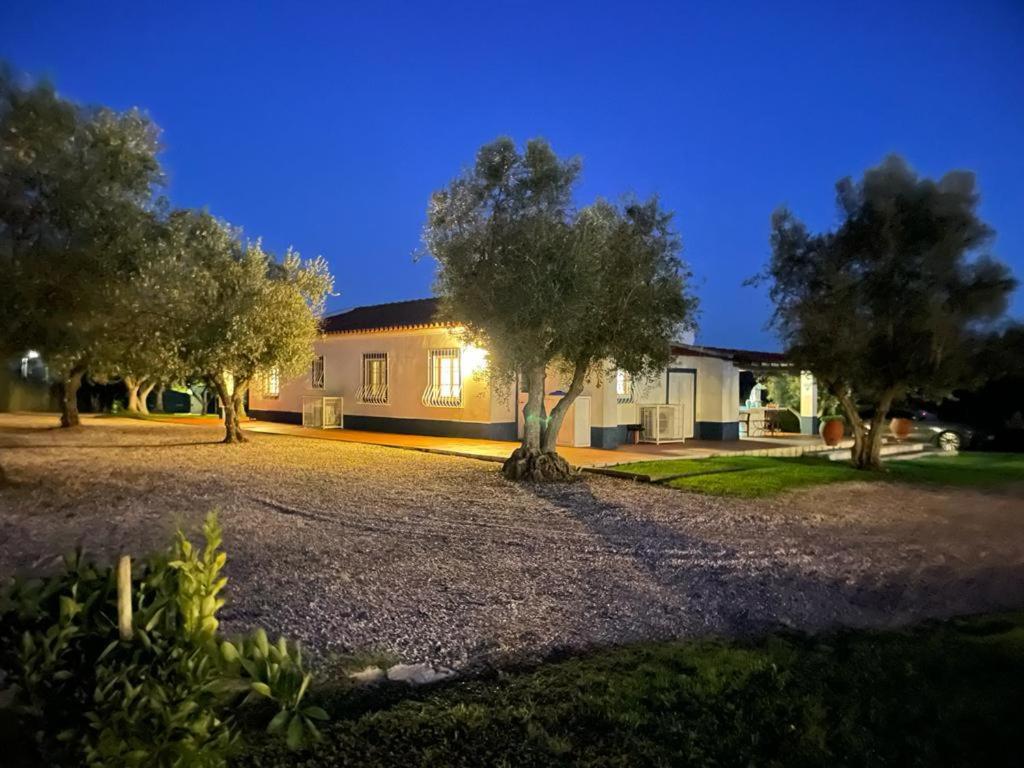 Casa Das Oliveiras Avis Dış mekan fotoğraf