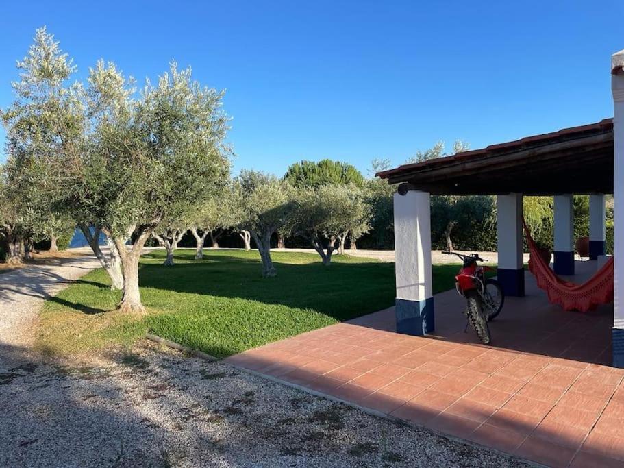 Casa Das Oliveiras Avis Dış mekan fotoğraf