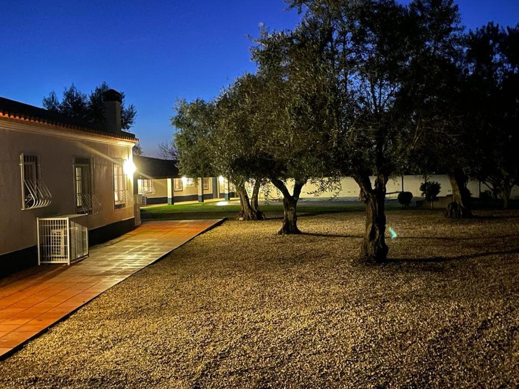 Casa Das Oliveiras Avis Dış mekan fotoğraf
