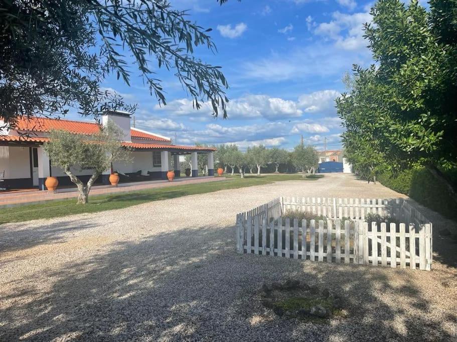 Casa Das Oliveiras Avis Dış mekan fotoğraf