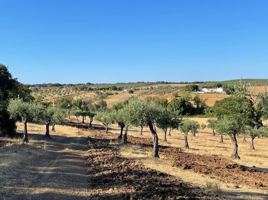 Casa Das Oliveiras Avis Dış mekan fotoğraf